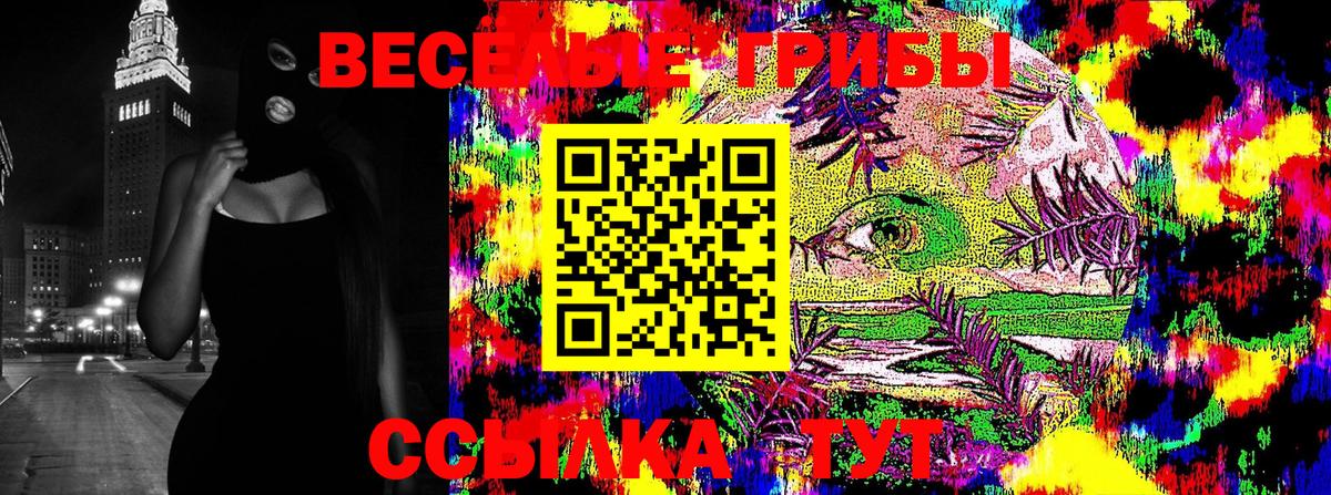 Галлюциногенные грибы Cubensis Среднеуральск